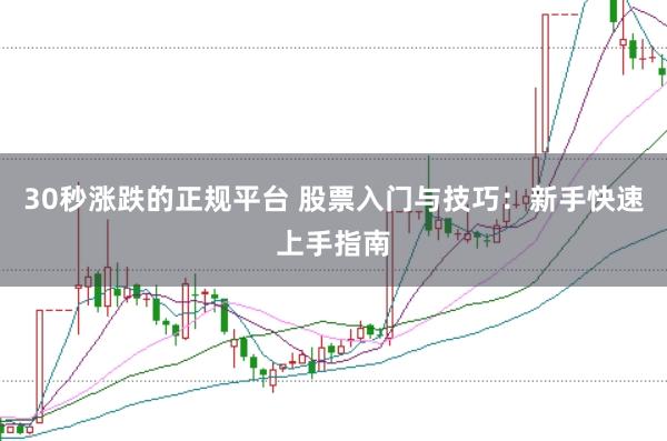 30秒涨跌的正规平台 股票入门与技巧：新手快速上手指南