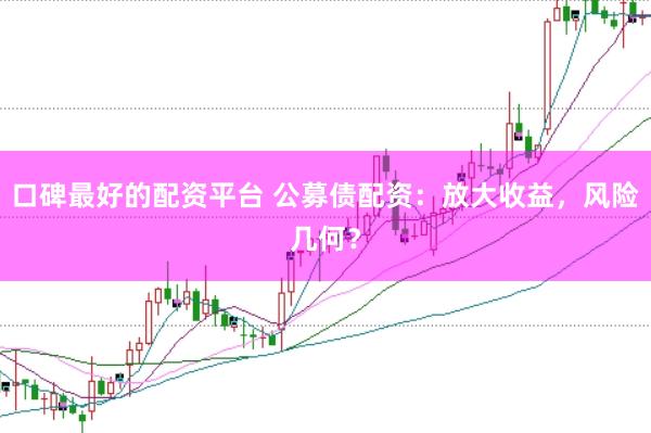 口碑最好的配资平台 公募债配资：放大收益，风险几何？