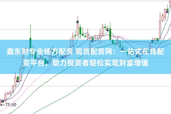 鑫东财专业杨方配资 现货配资网：一站式在线配资平台，助力投资者轻松实现财富增值