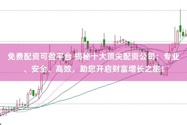 免费配资可盈平台 揭秘十大顶尖配资公司：专业、安全、高效，助您开启财富增长之旅！