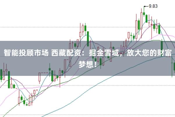 智能投顾市场 西藏配资：掘金雪域，放大您的财富梦想！