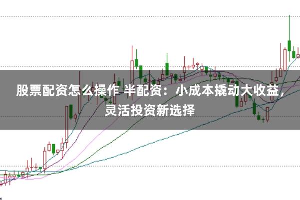 股票配资怎么操作 半配资：小成本撬动大收益，灵活投资新选择