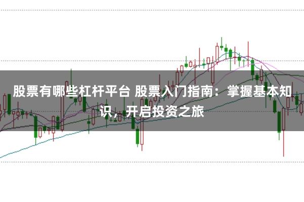 股票有哪些杠杆平台 股票入门指南：掌握基本知识，开启投资之旅