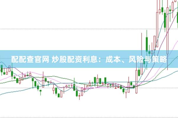 配配查官网 炒股配资利息：成本、风险与策略