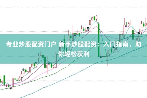 专业炒股配资门户 新手炒股配资：入门指南，助你轻松获利